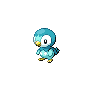 Shiny Piplup